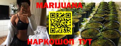индика Донской