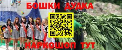 ешки Дубна