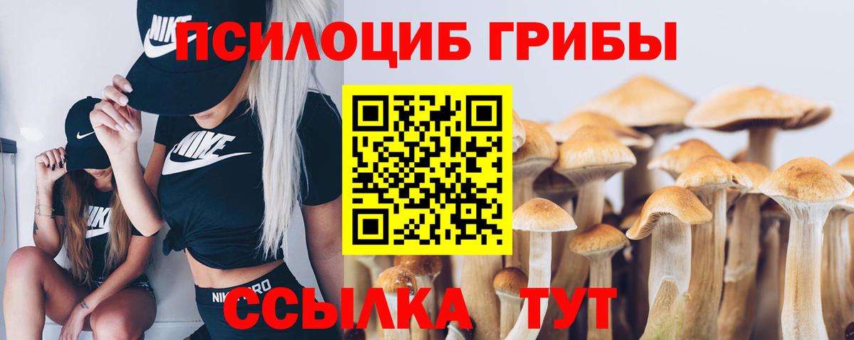 Псилоцибиновые грибы Cubensis  как найти   Геленджик  Псилоцибиновые грибы Magic Shrooms  Вход с VPN 