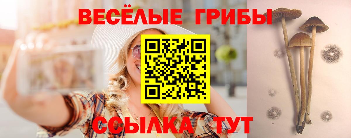 Галлюциногенные грибы Magic Shrooms Геленджик