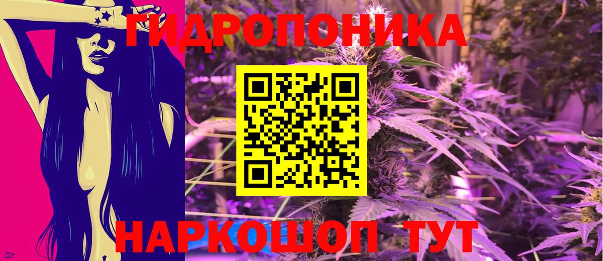 Каннабис индика Геленджик
